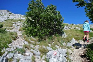 cesta k Planinarski dom Vošac   