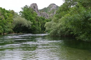 Cetina 