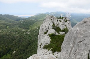 Žuti kuk pohled k moři