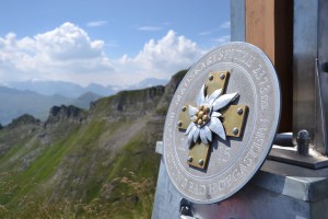 Mauskarspitze 2373m  