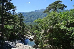 Cascade des Anglais 