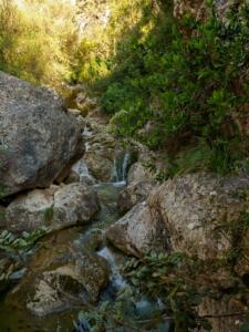 Torrent de Biniaraix