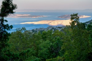 Goli otok a Prvić